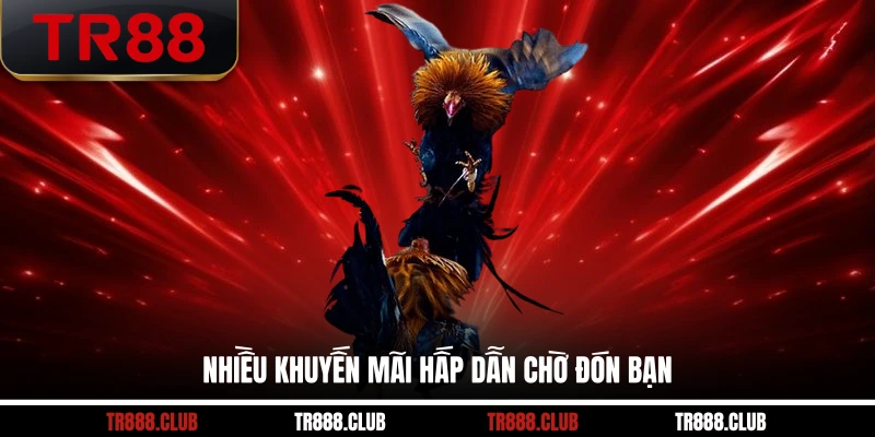 Nhiều khuyến mãi hấp dẫn chờ đón bạn