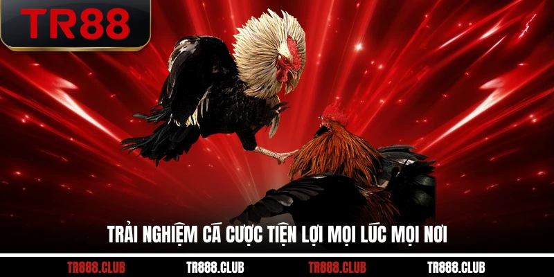 Trải nghiệm cá cược tiện lợi mọi lúc mọi nơi