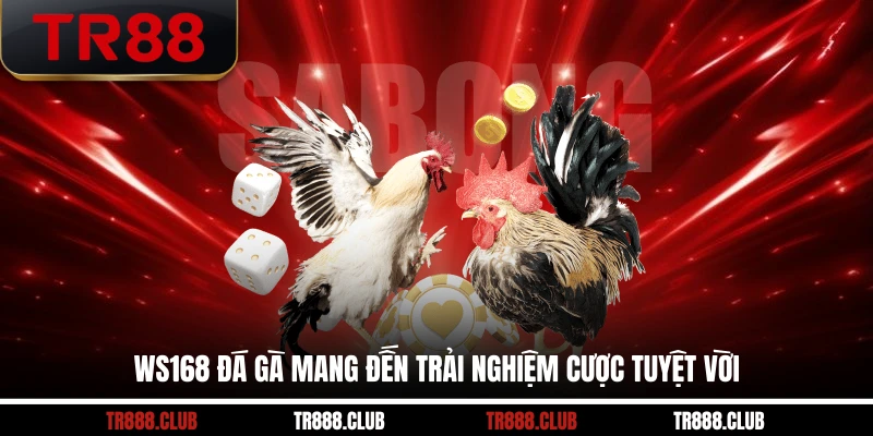 Ws168 Đá Gà mang đến trải nghiệm cược tuyệt vời